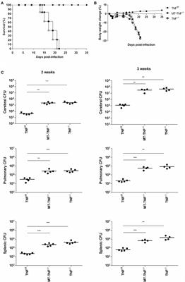 Myeloid and T Cell-Derived TNF Protects against Central Nervous System Tuberculosis